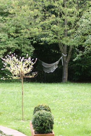 [Photo: Hngematte in Perspektive von Terrasse aus]