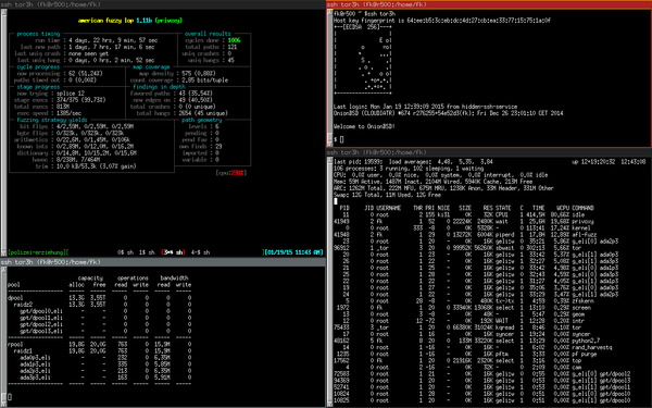 [Screenshot: ElectroBSD afl-fuzzing Privoxy]