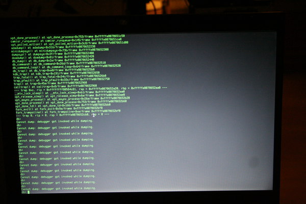 [Foto: Reentered debugger after dumping]