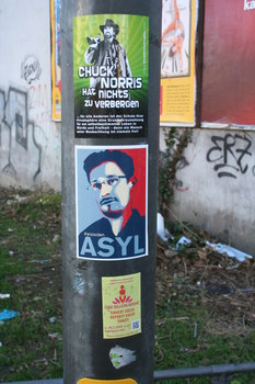 [Foto: 'Chuck Norris hat nichts zu verbergen' und weiterer Aufkleber]