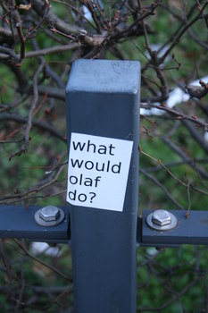 [Foto: What would olaf do?]