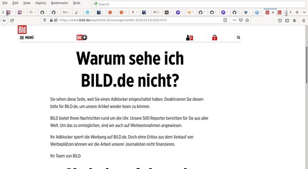 [Screenshot: bild.de-Fehlermeldung 'Warum sehe ich bild.de nicht' in Firefox]
